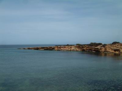 DSCF0098.JPG